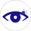 Eyelid Lesion